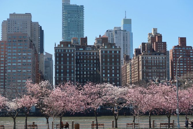 Personalized Experience with your Local Tour Guide - From Little Italy to the Meatpacking District