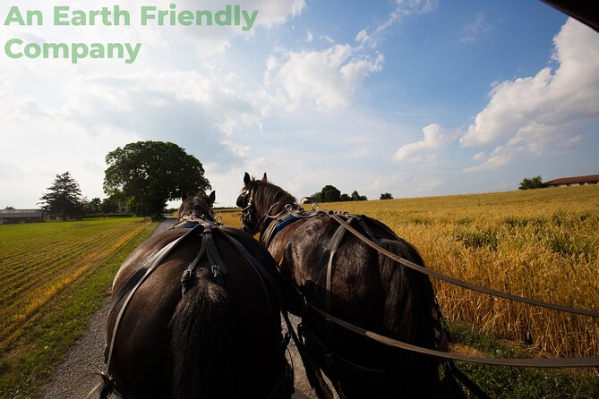 Philadelphia and Amish Country, 1-Day Tour from NYC - An ambitious Philadelphia and Lancaster day from New York
