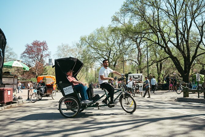 Private Central Park Guided Pedicab Tour - Belvedere Castle and Views from Vista Rock