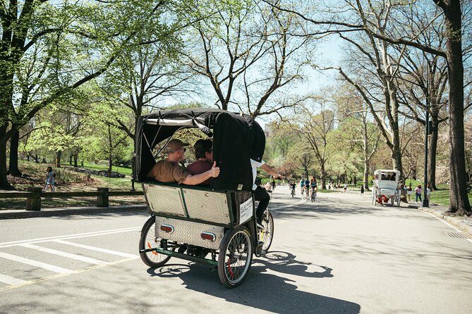 Private Central Park Guided Pedicab Tour - Sheep Meadow and Open Park Time