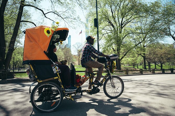 Private Central Park Guided Pedicab Tour - Bow Bridge and Cherry Hill Plaza