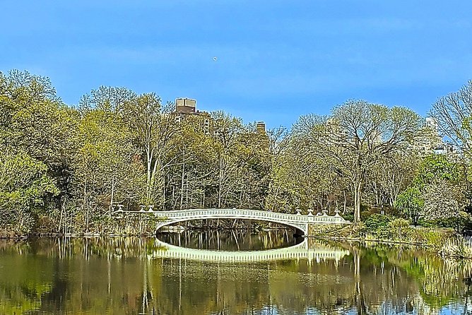Private Guided Tour of Central Park - Central Park as a planned escape from the city