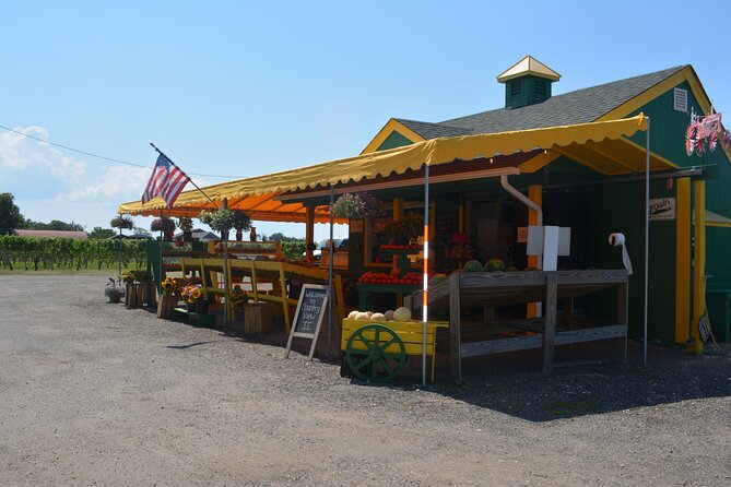 Private Guided Wine Country Bike Tour in Mattituck - Riding the North Fork at an easy pace