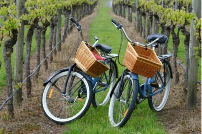 Private Guided Wine Country Bike Tour in Mattituck - New Suffolk and the Crushed Olive tasting