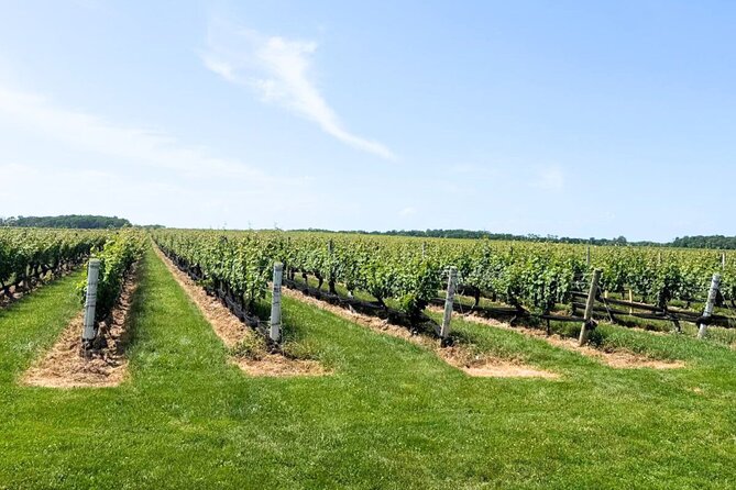 Private Luxury Wine Tours of Long Island Pindar Winery - Pindar Winery: the main event over two hours