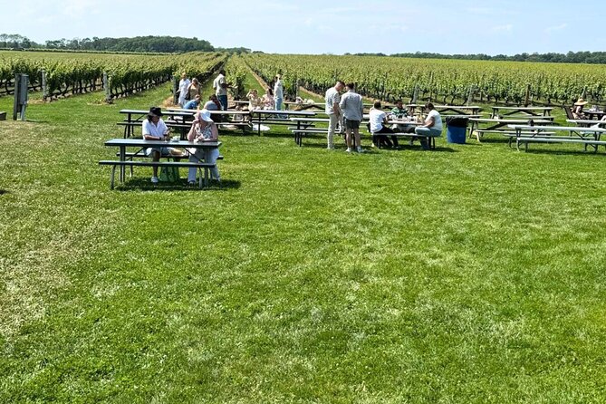 Private Luxury Wine Tours of Long Island Pindar Winery - Timing, comfort, and practical details