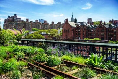 Private Meatpacking District, Chelsea Market, and The Highline Walking Tour