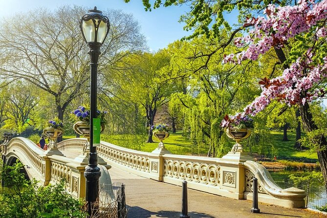 Private New York City Walking Tour: Central Park History and Hidden Secrets - Bethesda Terrace, the park’s grand centerpiece
