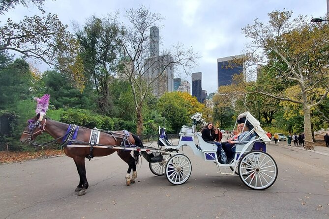 Private NYC Central Park Horse Carriage Ride (Guided) Since 1965™ - Key points to know before you book