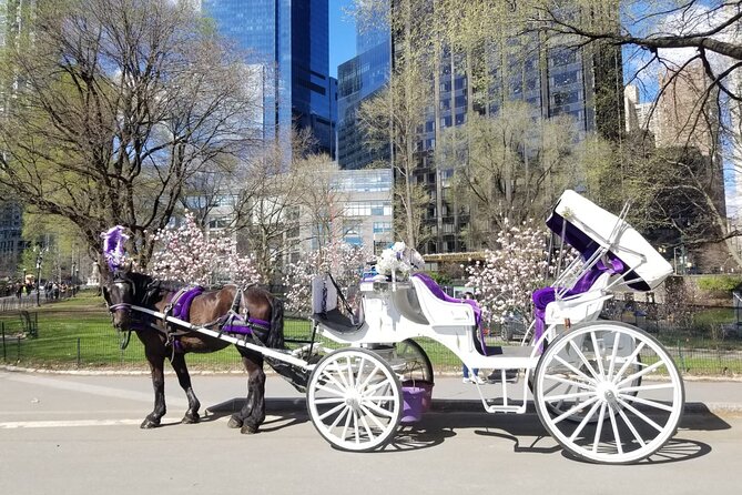 Private NYC Central Park Horse Carriage Ride (Guided) Since 1965™ - Starting at Central Park South and Seventh Avenue