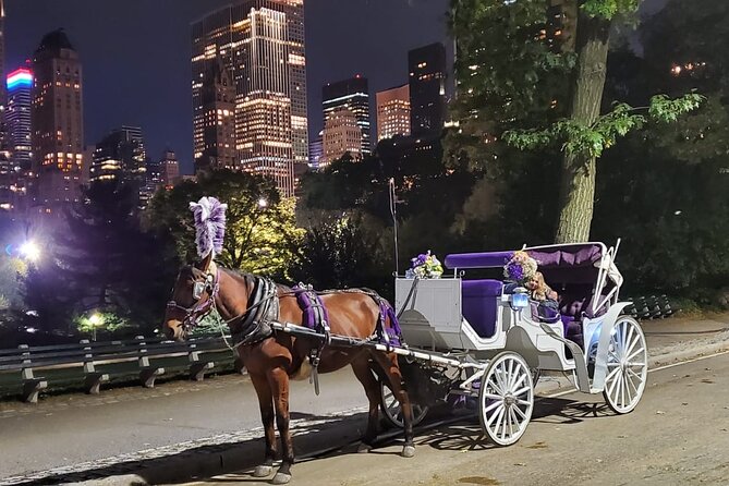 Private NYC Central Park Horse Carriage Ride (Guided) Since 1965™ - Bethesda Fountain and the short walk that matters