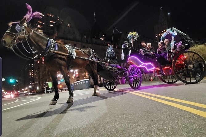 Private NYC Central Park Horse Carriage Ride (Guided) Since 1965™ - Cherry Hill, the Lake, and Loeb Boathouse