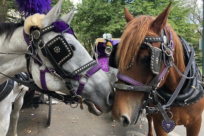 Private NYC Central Park Horse Carriage Ride (Guided) Since 1965™ - Sheep Meadow, Pinebank Arch, and movie locations