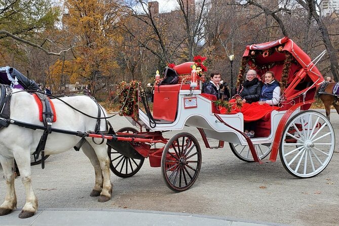 Private NYC Central Park Horse Carriage Ride (Guided) Since 1965™ - Columbus Circle and Heckscher Playground
