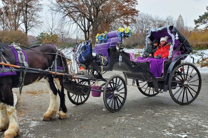 Private NYC Central Park Horse Carriage Ride (Guided) Since 1965™ - What the driver adds to the ride