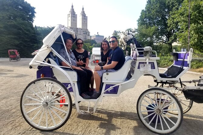 Private NYC Central Park Horse Carriage Ride (Guided) Since 1965™ - The Mall and Balto under the elm trees
