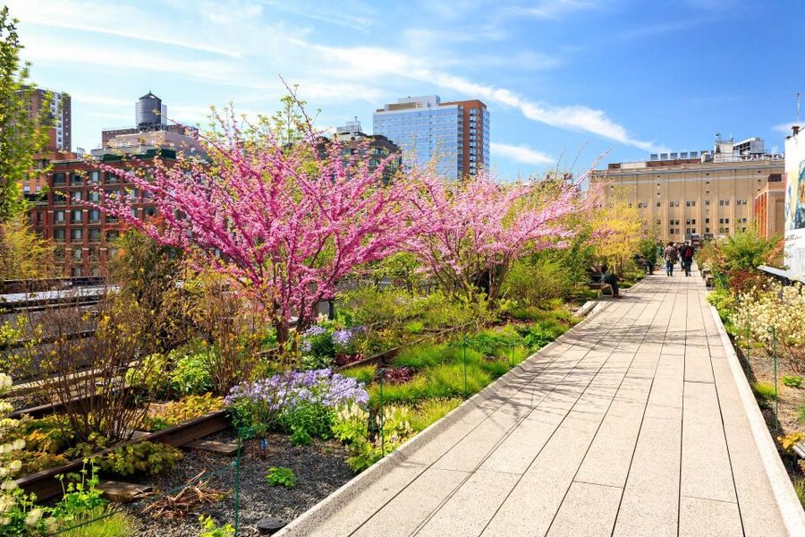 Private Tour of High Line, Chelsea, Hudson Yards and Edge - What the private format is really like