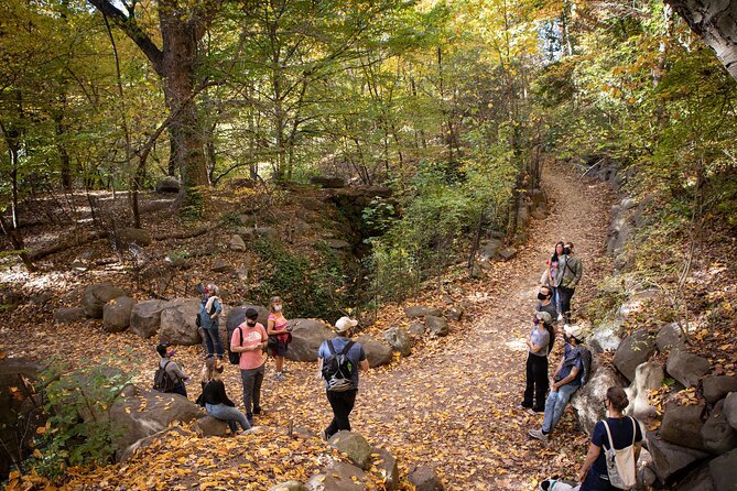 Prospect Park Tour - Into the forest and urban meadow
