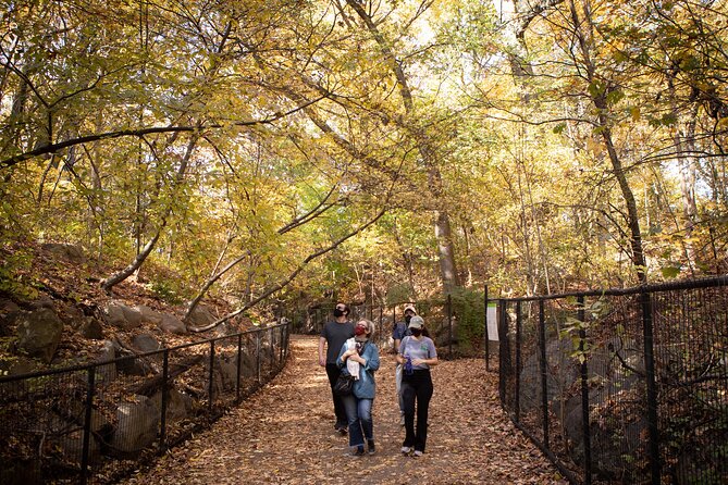 Prospect Park Tour - Waterfalls, creeks, and Prospect Park Lake