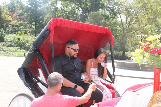 Romantic Proposal Carriage Tour in Central Park - Meeting near West 59th Street