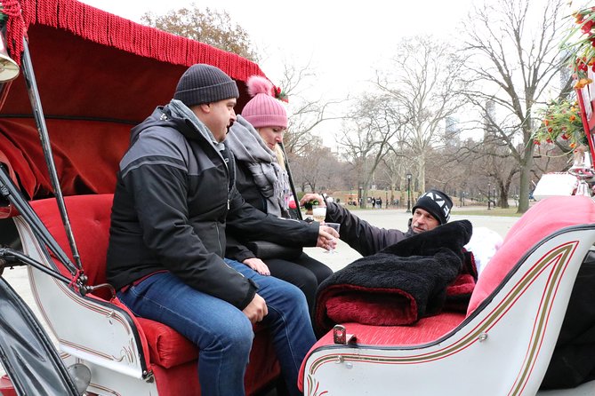 Romantic Proposal Carriage Tour in Central Park - Bow Bridge and the Lake