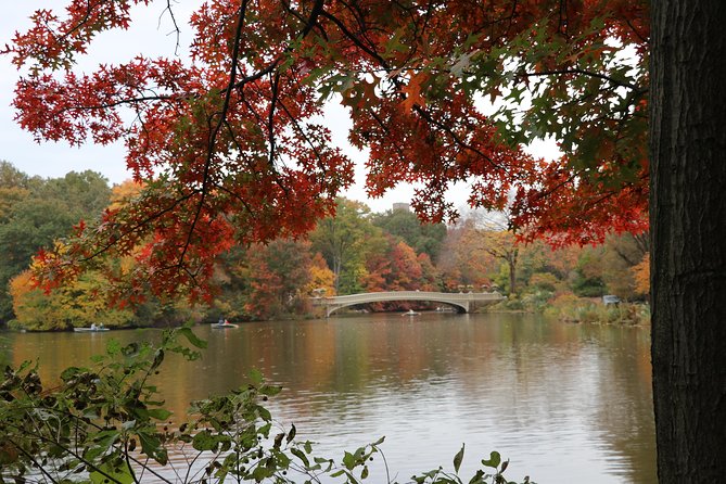 Romantic Proposal Carriage Tour in Central Park - Bethesda Fountain and Angel of the Waters
