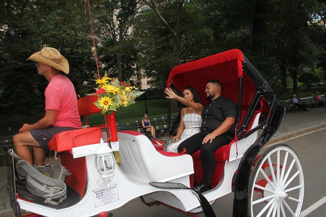 Romantic Proposal Carriage Tour in Central Park - Planning the actual proposal