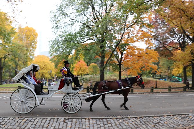 Romantic Proposal Carriage Tour in Central Park - Timing, weather, and practical details
