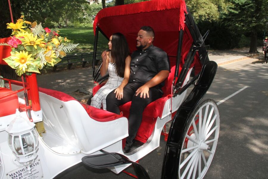 Romantic/Proposal Central Park Carriage Tour Up to 4 Adults - Key details before you book