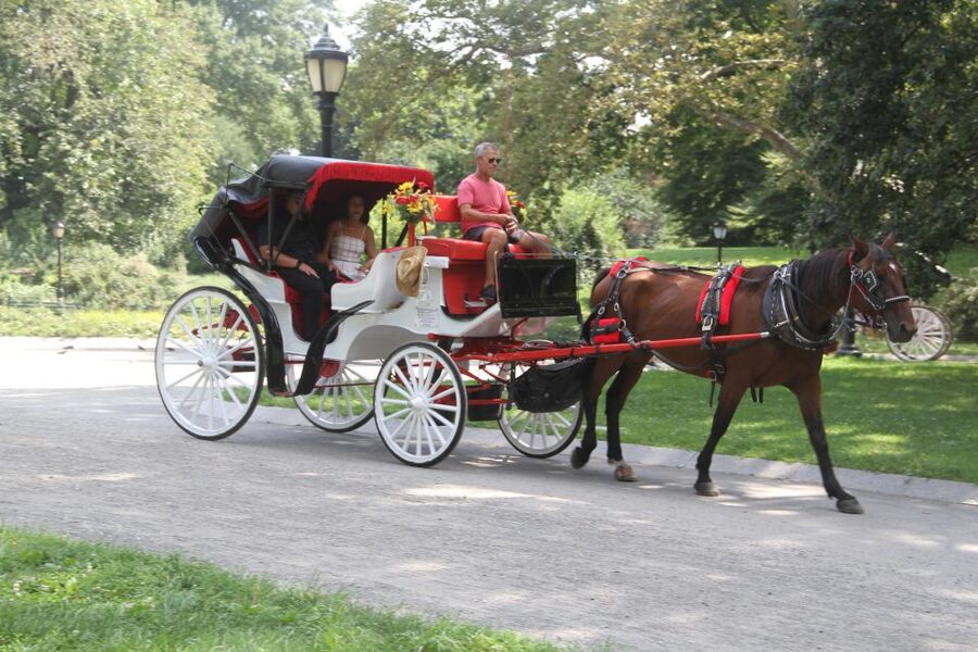 Romantic/Proposal Central Park Carriage Tour Up to 4 Adults - Why Central Park works for a proposal