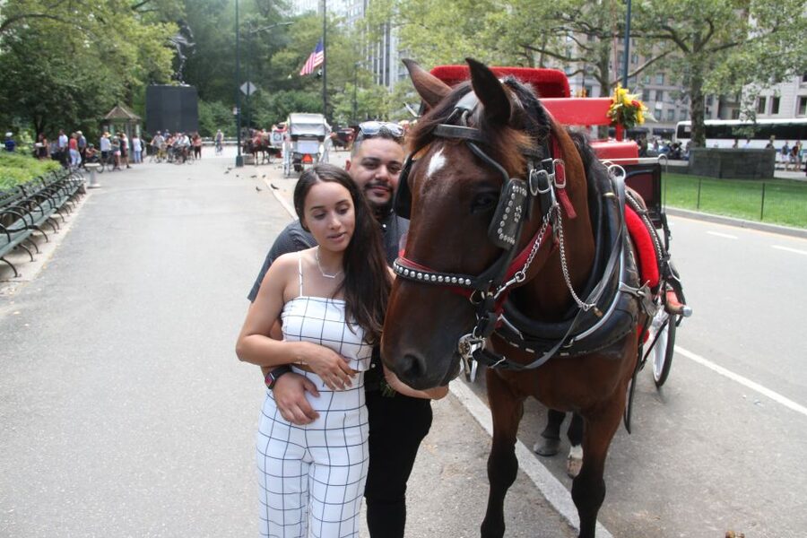 Romantic/Proposal Central Park Carriage Tour Up to 4 Adults - The 50-minute carriage ride