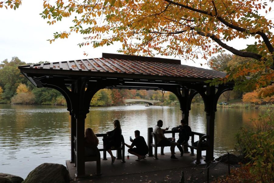 Romantic/Proposal Central Park Carriage Tour Up to 4 Adults - Bow Bridge or Bethesda Fountain?