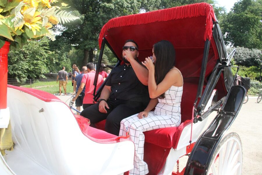 Romantic/Proposal Central Park Carriage Tour Up to 4 Adults - What the guide adds