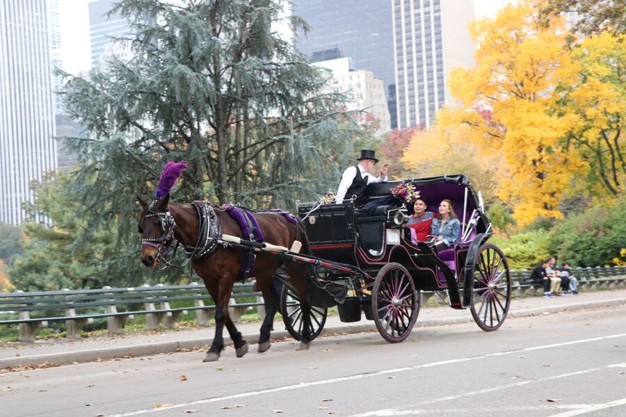 Romantic/Proposal Central Park Carriage Tour Up to 4 Adults - Is $425 good value?