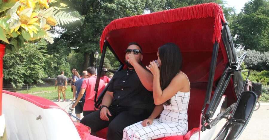 Romantic/Proposal Central Park Carriage Tour Up to 4 Adults - Comfort, weather, and horse care