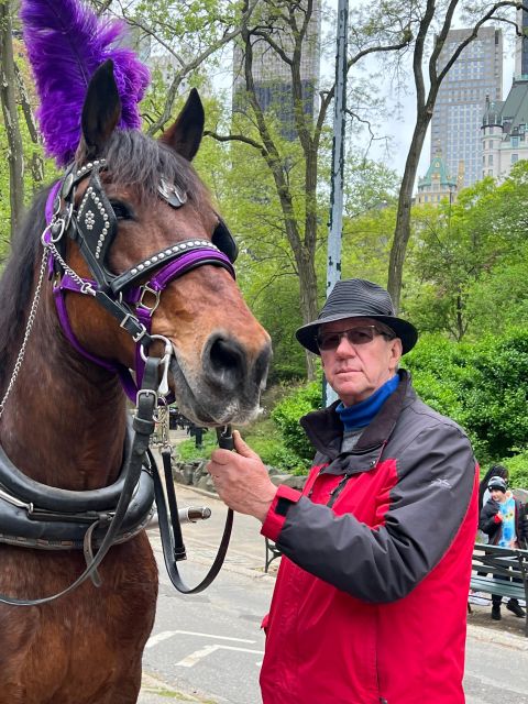 Royal Carriage Ride in Central Park NYC - Key points to know before you book
