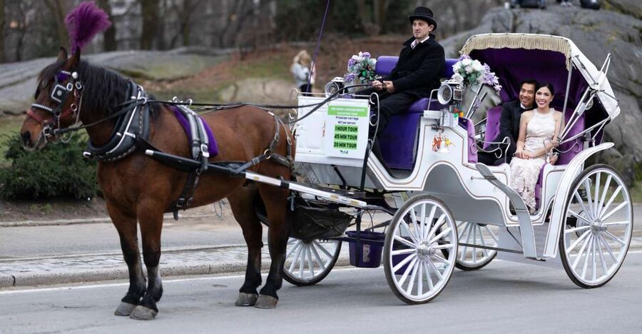 Royal Carriage Ride in Central Park NYC - Who will enjoy this ride most