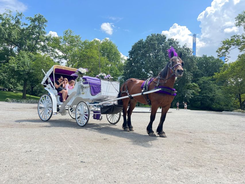 Royal Carriage Ride in Central Park NYC - Bethesda Fountain, the first major stop