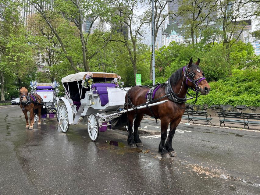 Royal Carriage Ride in Central Park NYC - Cherry Hill Plaza and the Friends Fountain