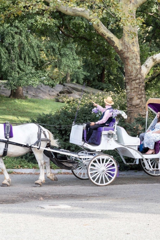 Royal Carriage Ride in Central Park NYC - Strawberry Fields and the final view