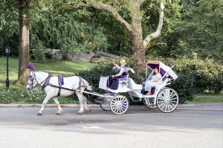 Royal Carriage Ride in Central Park NYC - Timing, pace, and what 55 minutes really means