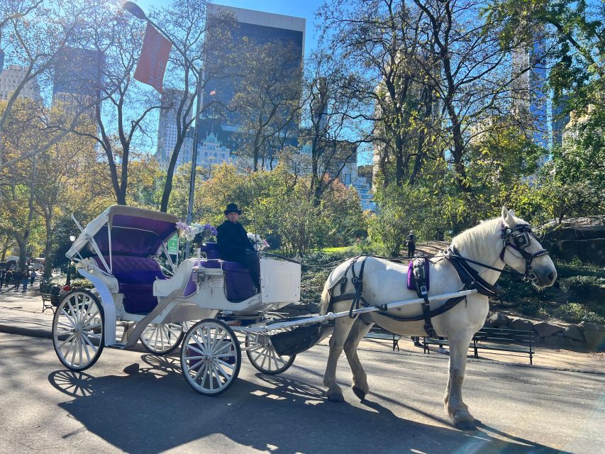 Royal Carriage Ride in Central Park NYC - What the private carriage format gives you