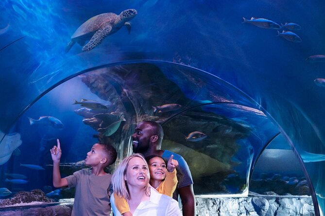 SEA LIFE New Jersey Admission Tickets at American Dream - Key points to know before you go