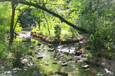 Secret Places of Central Park
