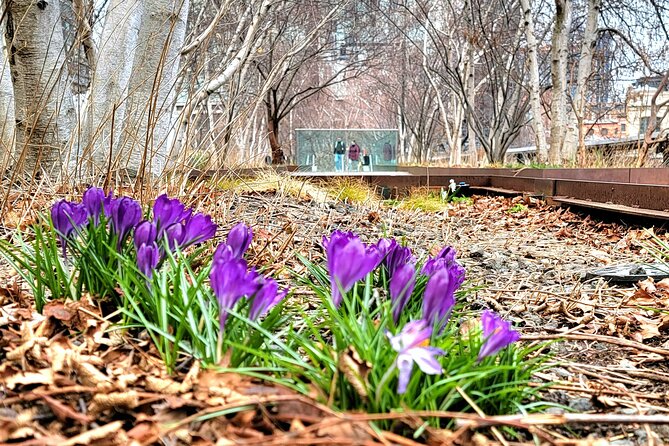 Secrets of the High Line - Walking the full High Line