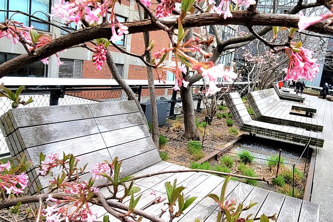 Secrets of the High Line - Timing, cancellations, and useful preparation