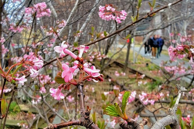 Secrets of the High Line - Through the Meatpacking District