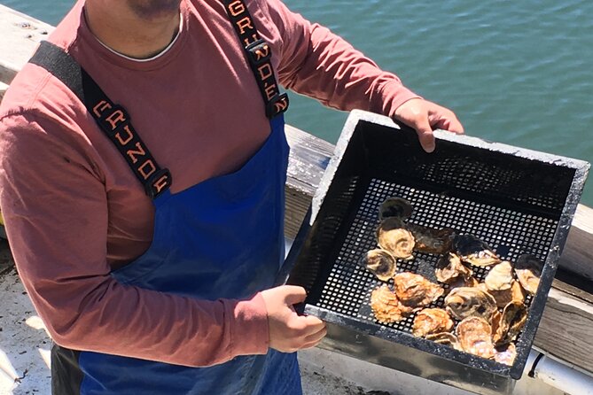 Southold Bay Oyster Farm Tour - A working oyster farm at Shellfisher Preserve