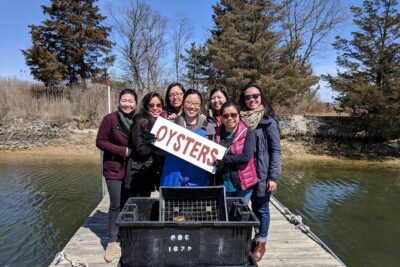 Southold Bay Oyster Farm Tour