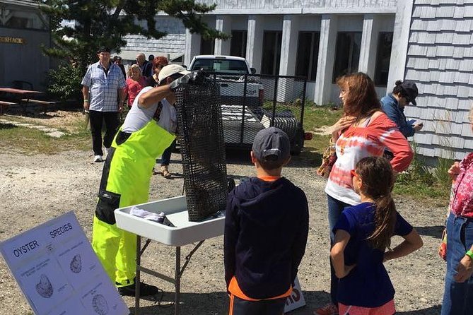 Southold Bay Oyster Farm Tour - Is the $138 price good value?